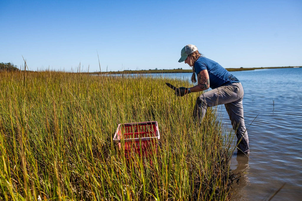 How to Choose Lightweight Summer Work Pants for Women