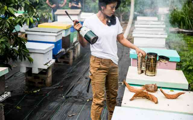 Maven Slim Fit Work Pants