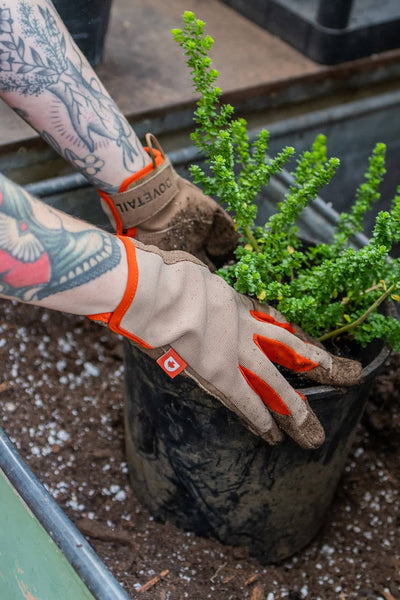 Multi-Purpose Work Gloves