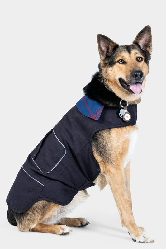 Copy of Shop Dog Jacket - Fall 2023 Accessories Dovetail Workwear