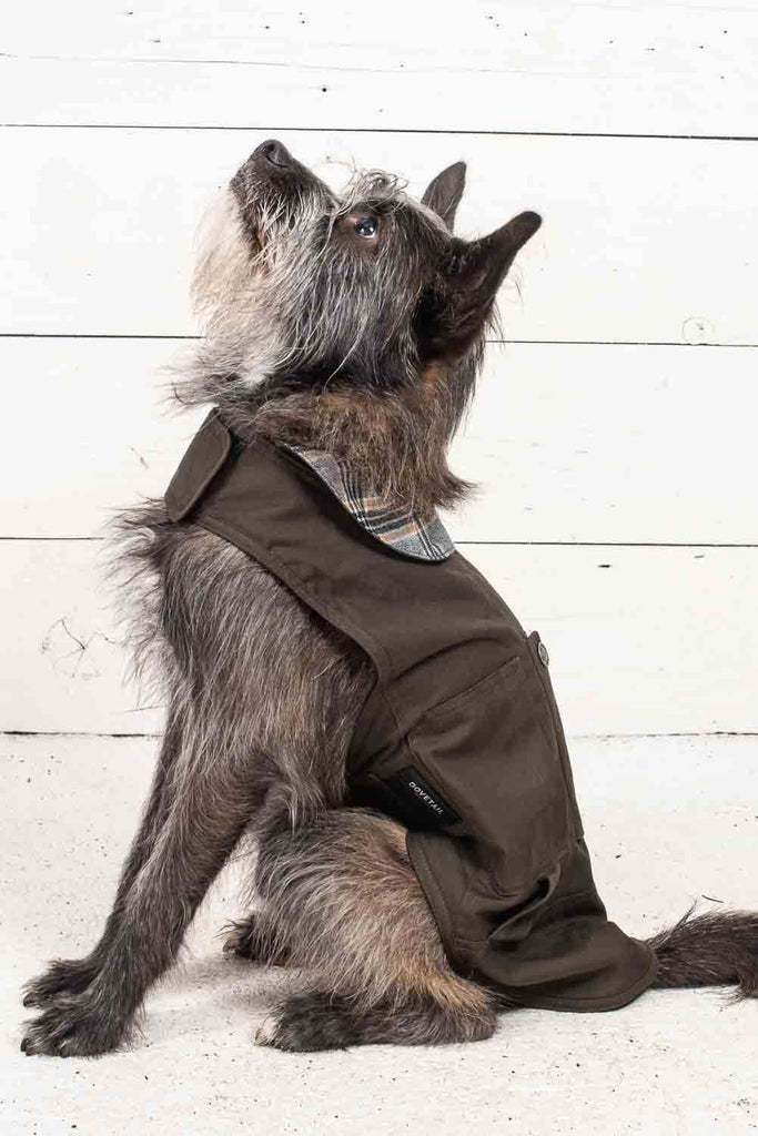 Shop Dog Jacket Accessories Dovetail Workwear