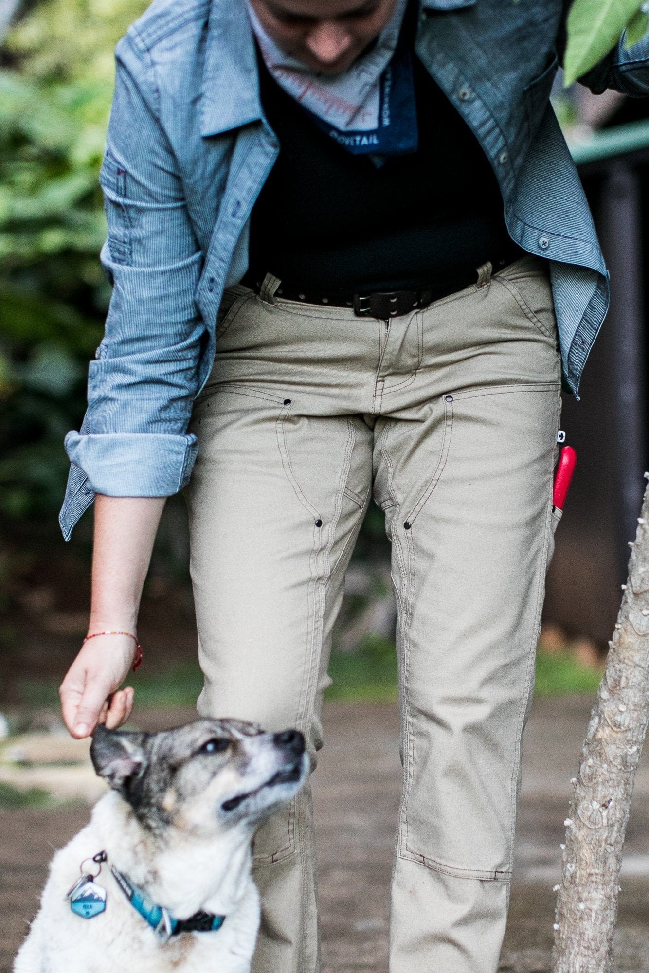 Anna Taskpant in Khaki Canvas Work Pants Dovetail Workwear